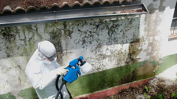 Top rated local Mold Testing specialists in Sterling, GA